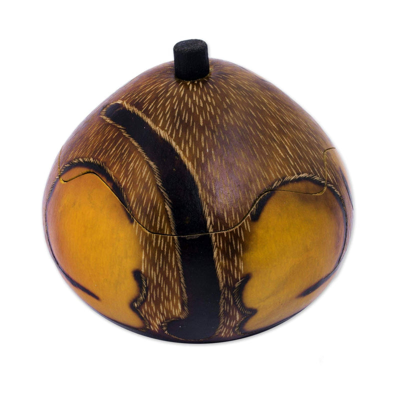 [Australia] - NOVICA Dried Mate Gourd Cat Jewelry Box, Brown, Andean Feline' 