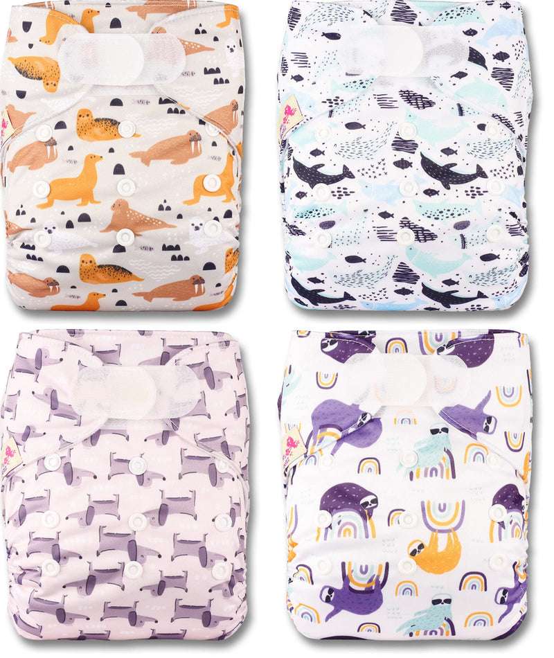 [Australia] - Littles and Bloomz Baby Reusable Pocket Nappy Cloth Diaper, Standard Hook-Loop, 4 Nappies, FLV2-0401 0401 