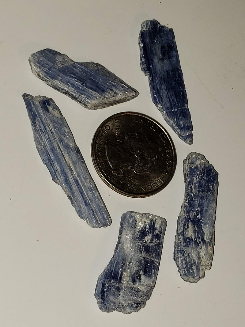 [Australia] - 5pc Set Blue Kyanite Blades with Mica Small/Medium Natural Crystal Healing Gemstone Specimens from Brazil for Jewelry or Wire Wrapping 