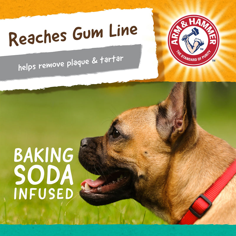 [Australia] - Arm & Hammer for Pets Super Treadz Gorilla Dental Chew Toy for Dogs - Dog Dental Chew Toys Reduce Plaque & Tartar Buildup Without Brushing - Safe for Dogs up to 35 Lbs Large - 1 Pack 