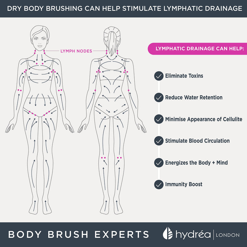 [Australia] - Hydrea London Dry Body Brush – Premium Exfoliating Dry Skin Brush with Natural Bristle, Dry Brush Cellulite Remover, Exfoliating Body Scrubber, Helps Improve Lymphatic Drainage, FSC® Certified Beechwood. 