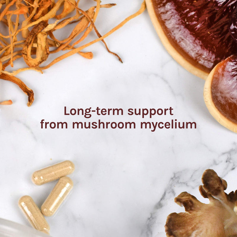 [Australia] - Host Defense, Stamets 7 Capsules, Daily Immune Support, Mushroom Supplement with Lion’s Mane, Reishi, Vegan, Organic, 120 Capsules (60 Servings) 120 Count (Pack of 1) Standard Packaging 