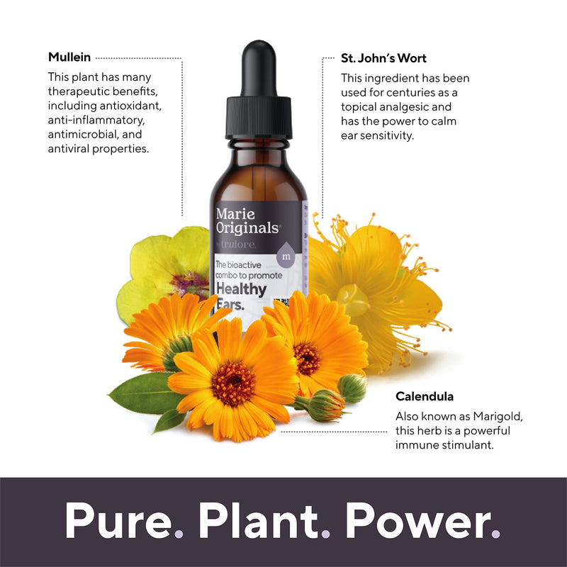 [Australia] - Organic Ear Oil for Ear Infections, All Natural Eardrops for Infection Prevention, Swimmer's Ear and Wax Removal - Kids, Adults, Baby, Dog Earache Remedy - with Mullein, Garlic | Marie Originals 1 Fl Oz (Pack of 1) 