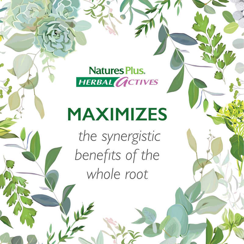 [Australia] - NaturesPlus Herbal Actives Black Cohosh - 200 mg, 30 Vegan Tablets - Natural Menopause Relief Supplement, Helps with PMS, Hot Flashes - Hypoallergenic, Vegetarian, Gluten-Free - 30 Servings 