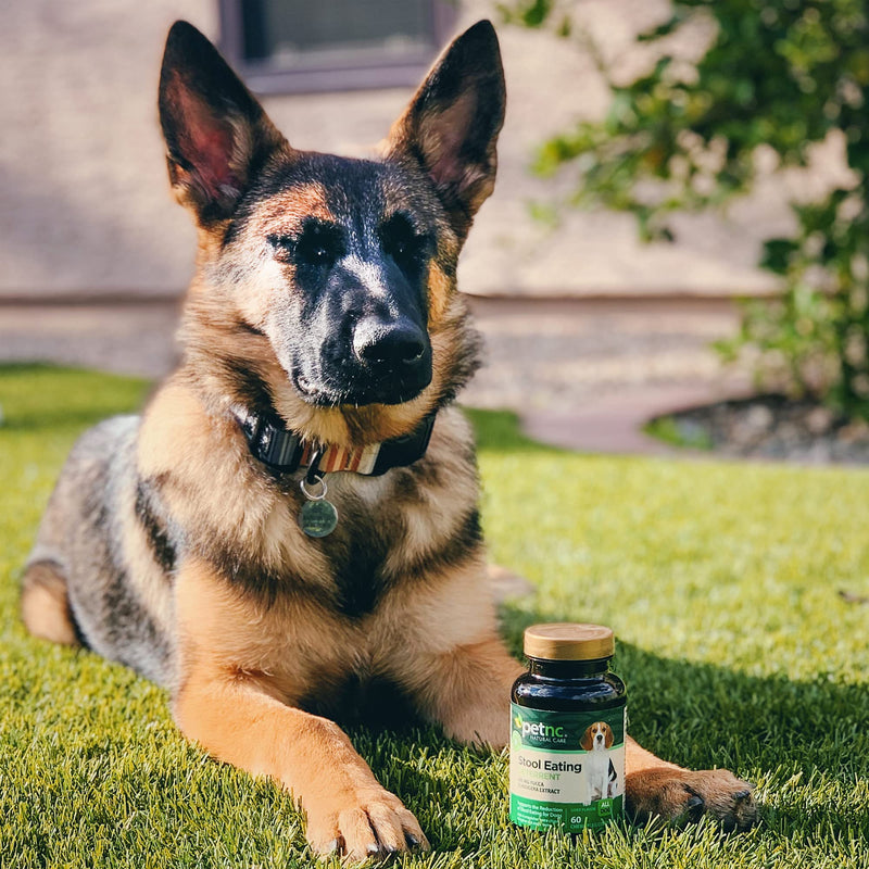 [Australia] - PetNC Natural Care Stool Eating Deterrent Chewables for Dogs, 60 Count 