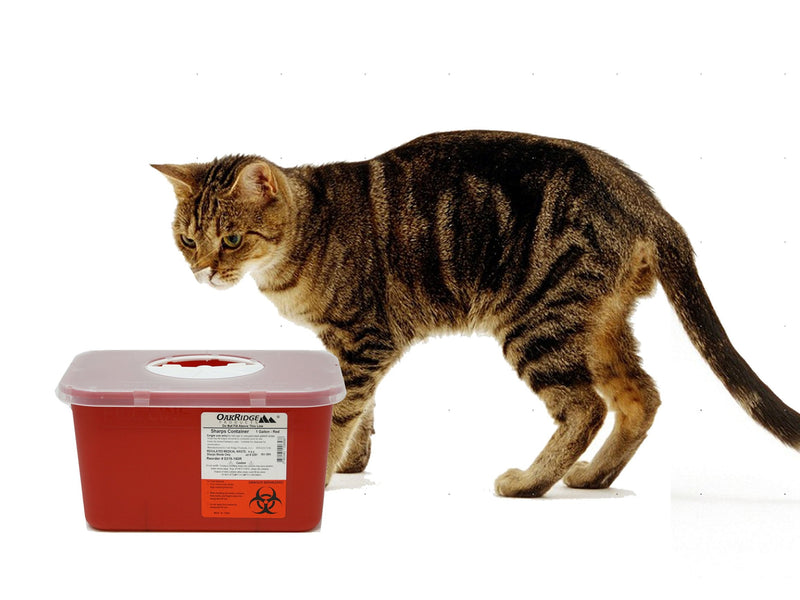 [Australia] - Oakridge Sharps Container - 1 Gallon (2 Pack) - Easy use Rotating lid Design 