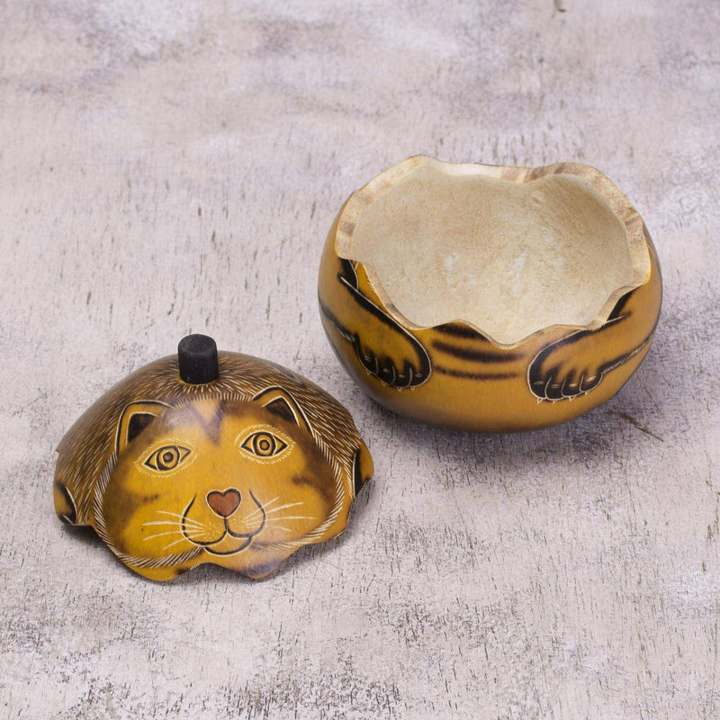 [Australia] - NOVICA Dried Mate Gourd Cat Jewelry Box, Brown, Andean Feline' 
