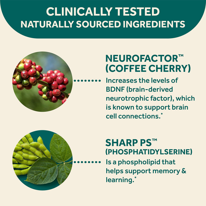 [Australia] - NEURIVA Original Capsules (30ct) Phosphatidylserine, Gluten Free, Decaffeinated - Supports Focus, Memory, Learning, Accuracy & Concentration (Pack of 1) 30 Count (Pack of 1) 