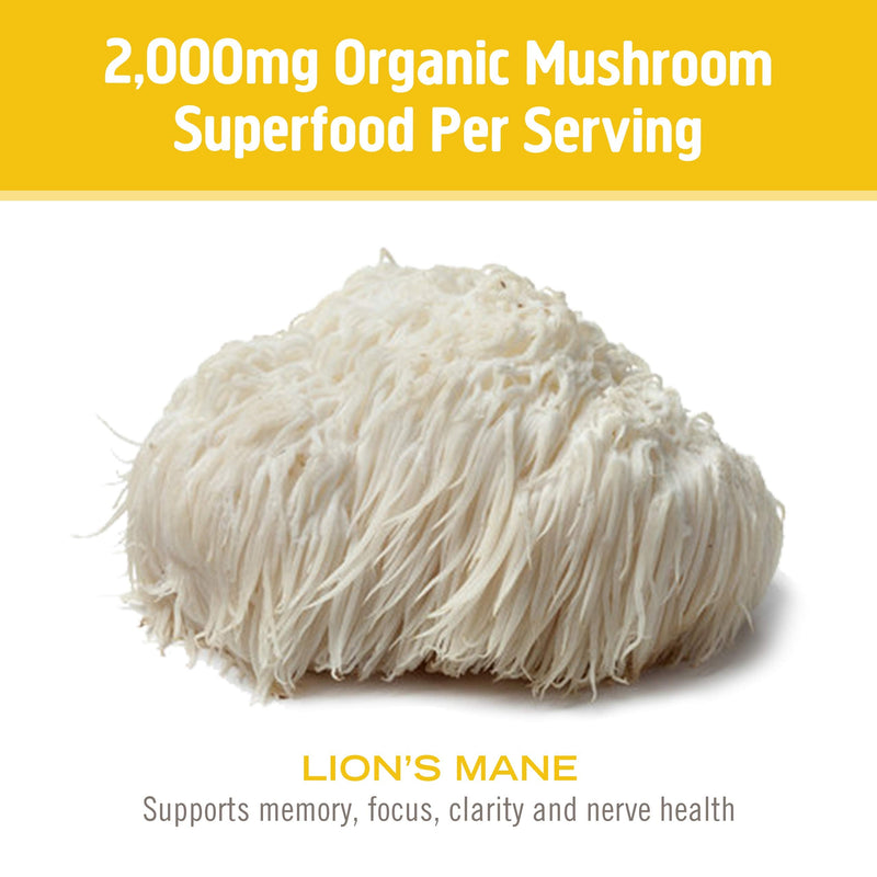 [Australia] - Om Mushroom Superfood Lion's Mane Organic Mushroom Powder, 3.5 Ounce, 50 Servings, Fruit Body and Mycelium Nootropic for Memory Support, Focus, Clarity, Nerve Health, Creativity and Mood Lion's Mane Powder 3.5 Ounce (Pack of 1) 