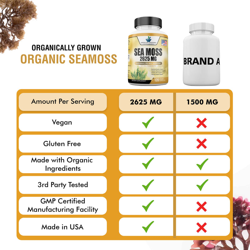 [Australia] - Organic Sea Moss 2625mg, Seamoss, Hand Harvested, Irish Moss Bladderwrack and Burdock Root, Sea Moss Capsules, Irish Sea Moss Alternative to Sea Moss Powder, Sea Moss Gel, 120 Vegan Capsules 