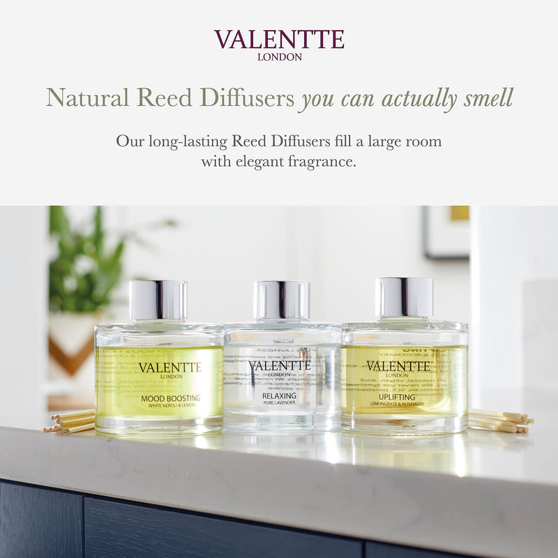 [Australia] - Valentte Reed Diffuser for Home with Sticks, Aromatherapy Essential Oils, Natural Ingredients, Long Lasting Fragrance, Made in the UK (White Neroli and Lemon) White Neroli & Lemon 