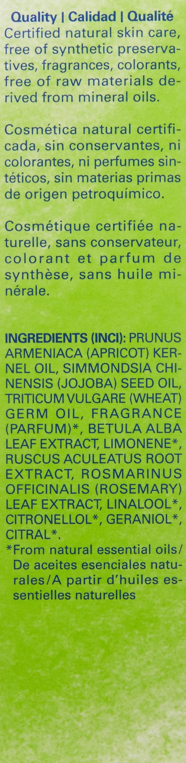 [Australia] - Weleda Birch Cellulite Oil 100 ml 100 ml (Pack of 1) 