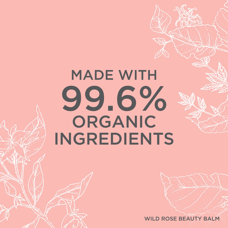 [Australia] - Neal's Yard Remedies Wild Rose Beauty Balm, 50 g 
