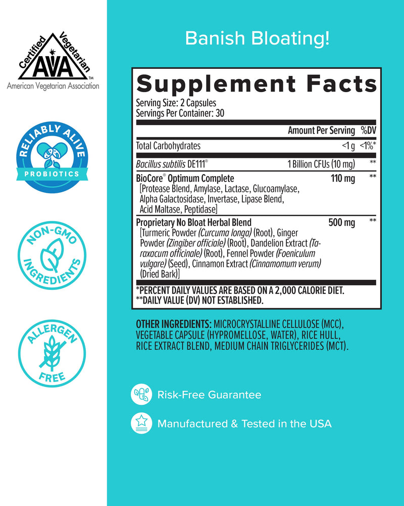 [Australia] - Zenwise No Bloat Supplement with Probiotics, Turmeric, and Digestive Enzymes - Bloating and Gas Relief - Ginger, Dandelion, and Cinnamon to Improve Digestion for Women & Men - Vegan Formula - 60 Count 