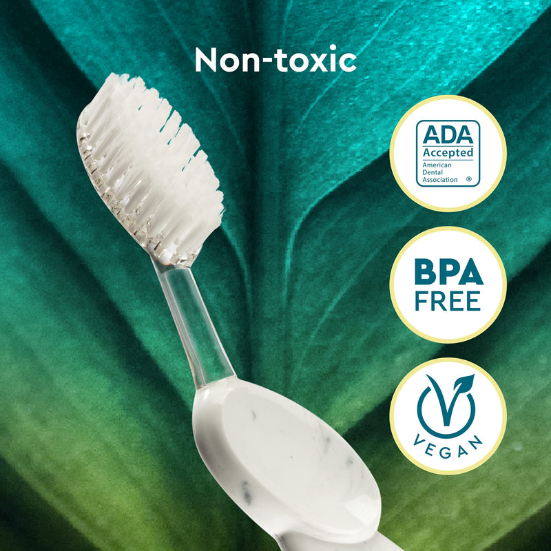 [Australia] - RADIUS Big Brush BPA Free & ADA Accepted Toothbrush Designed to Improve Gum Health & Reduce Gum Issues - Right Hand - Pack of 3 