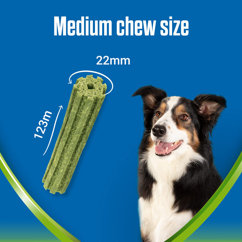 [Australia] - Dentalife ActivFresh Medium Dog Treat Dental Stick 48 Sticks Dentalife ActivFresh 48 Count (Pack of 1) 
