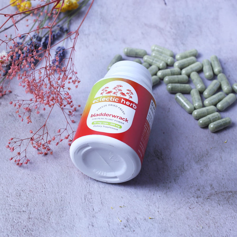 [Australia] - Eclectic Institute Raw Freeze-Dried Non-GMO Bladderwrack Whole Plant | Endocrine System, Healthy Skin and Hair | 90 CT 
