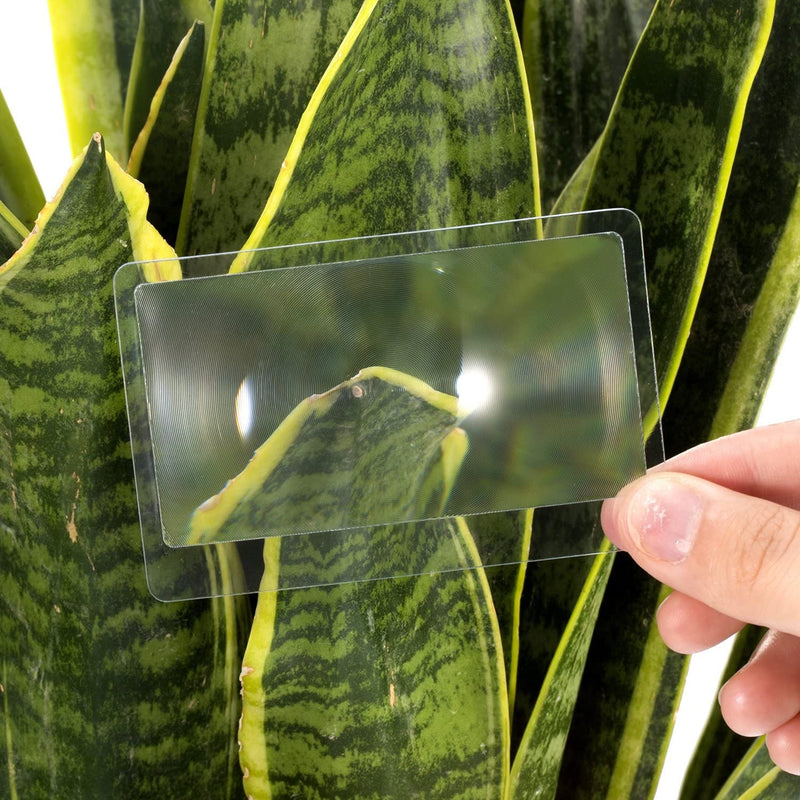 [Australia] - Molain 3X Pocket Magnifier- 5Pcs Portable Fresnel Lens Credit Card Magnifier Wallet Magnifying Lenses Jewelry Loupe Reading Aid Helper 