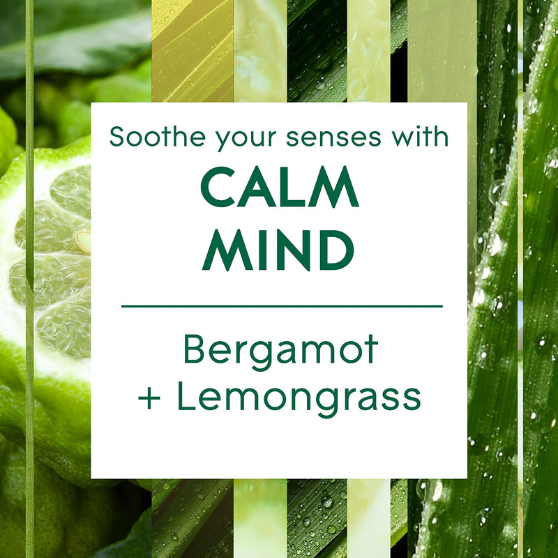 [Australia] - Glade Aromatherapy Candle Gift Set, Home Décor Scented Candle Calming Jar Candle, Calm Mind with Bergamot & Lemongrass, Pack of 2 (2 x 260 g) 2 Pack 
