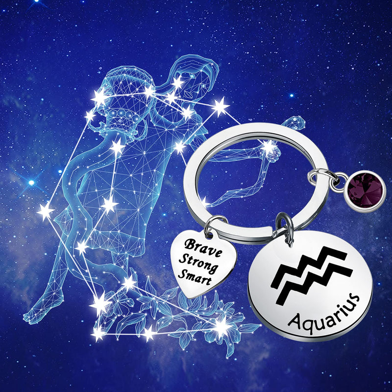 [Australia] - bobauna 12 Zodiac Constellation Disc Keychain Birthstone Horoscope Jewelry Astrology Gift for Family Friend Aquarius Keychain 