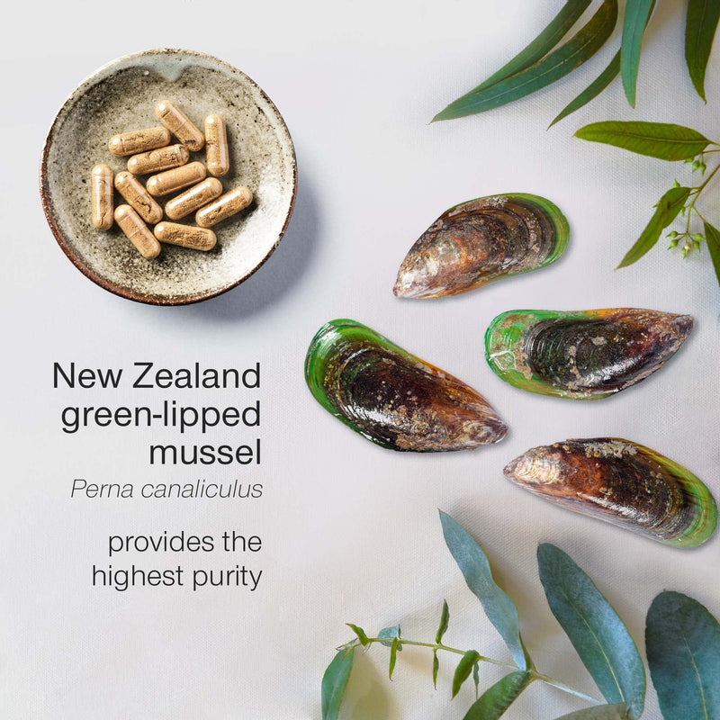 [Australia] - Green Lipped Mussel Capsules 1000mg - New Zealand Green Lipped Mussel for Humans & Dogs - 100% Pure High Strength Supplement - 90 Tablets - Made in The UK 