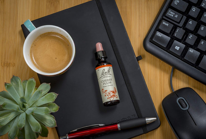 [Australia] - Bach Original Flower Remedy Cherry Plum, Flower Essences, Vegan, Let me be me, An Individual and Personal Approach to Emotional Wellness, Easy to use, 1 Dropper Bottle x 20 ml 