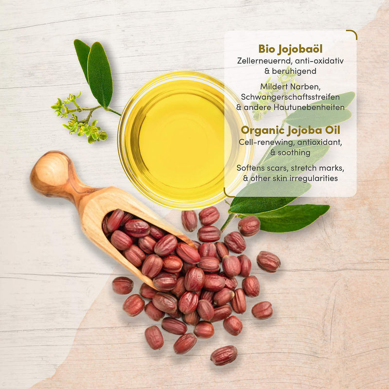 [Australia] - ORGANIC Jojoba Oil Vegan, Cold-Pressed + 100% Pure - 200ml Light-Protection Glass Bottle - Skin Care rich in Vitamin E for Soft Skin & Hair & Healthy Nails - Natural Cosmetics by Satin Naturel 200 ml (Pack of 1) 