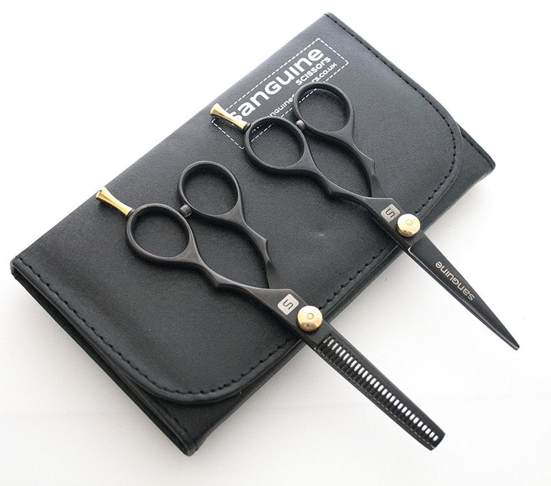 [Australia] - Professional Hair Scissors and Hair Thinning Scissors SET, 5.5 inch, Presentation Case 2 Piece Set 