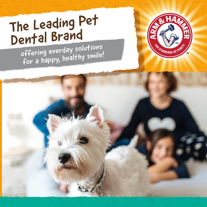 [Australia] - Arm & Hammer for Pets Super Treadz Gorilla Dental Chew Toy for Dogs - Dog Dental Chew Toys Reduce Plaque & Tartar Buildup Without Brushing - Safe for Dogs up to 35 Lbs Large - 1 Pack 