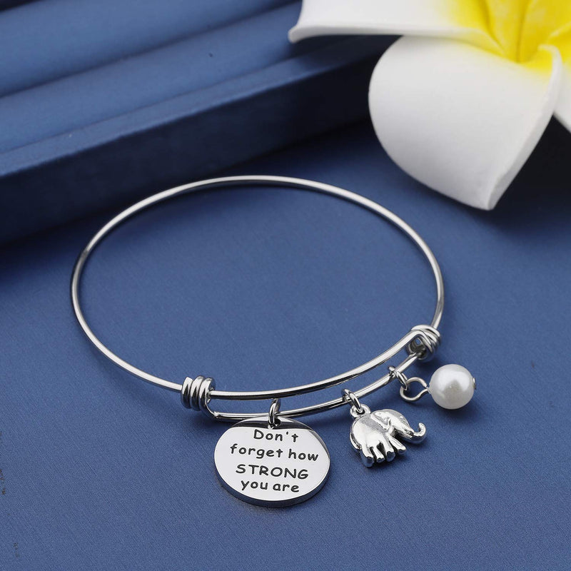 [Australia] - MYOSPARK Elephant Keychain Don't Forget How Strong You Are Inspirational Gift For Graduate Elephant Lovers Elephant Bracelet 