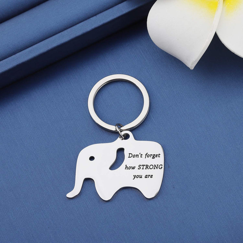 [Australia] - MYOSPARK Don't Forget How Strong You are Elephant Inspirational Keychain Gift for Elephant Lovers STRONG Elephant Keychain 