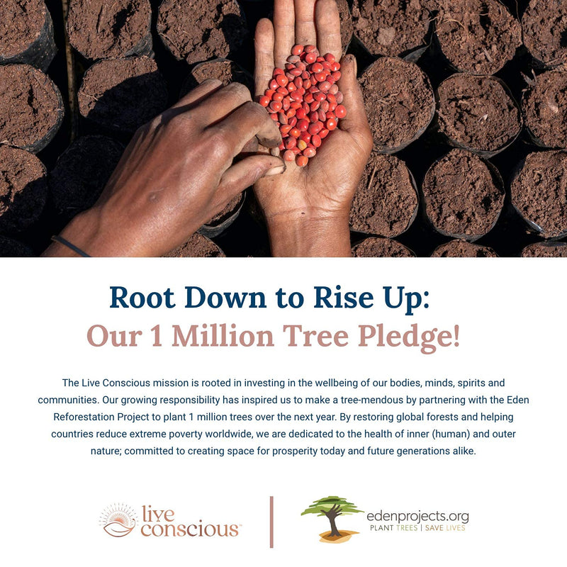 [Australia] - Beyond Greens Concentrated Superfood Powder - Matcha Flavor w/ Chlorella, Echinacea, & Probiotics for Immune Support & Energy | by LiveWell - 30 Servings 4 Ounce (Pack of 1) 