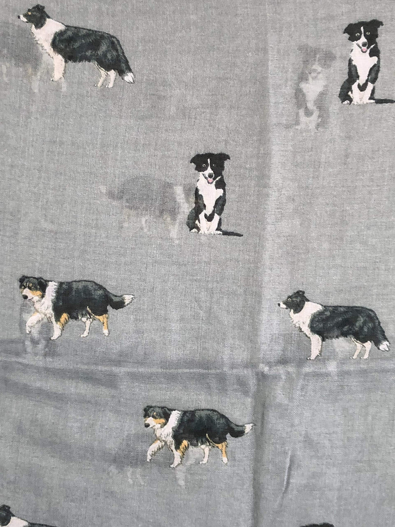 [Australia] - Pamper Yourself Now Border Collie Dog Long Scarf.(Design 2) Grey 