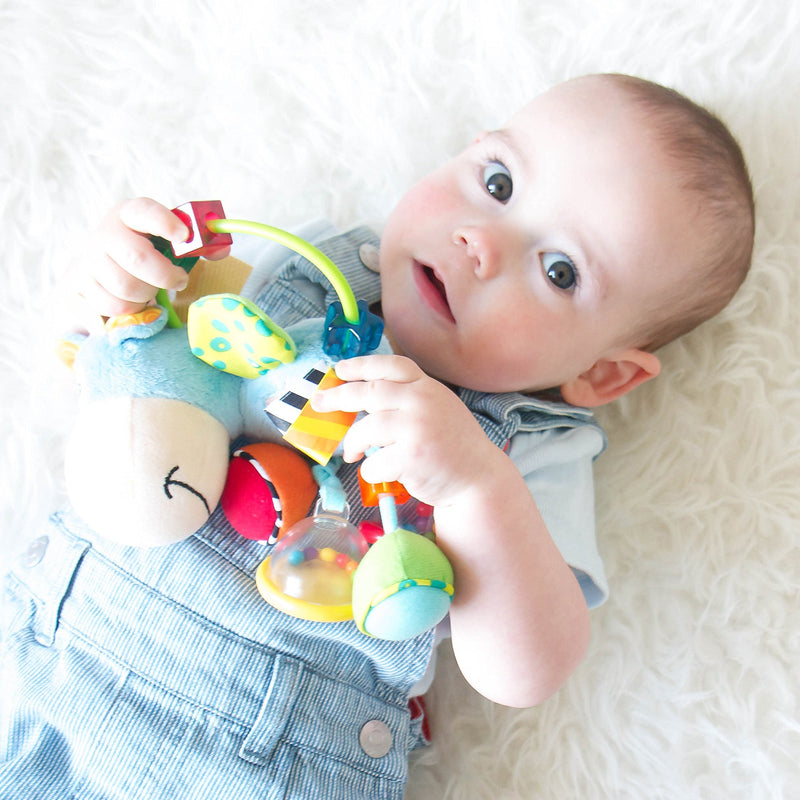 [Australia] - Playgro Activity Rattle Clip Clop, Learning Toy, From 3 Months, BPA Playgro Toy Box Horse Clip Clop, Blue/Multicoloured, 40016 