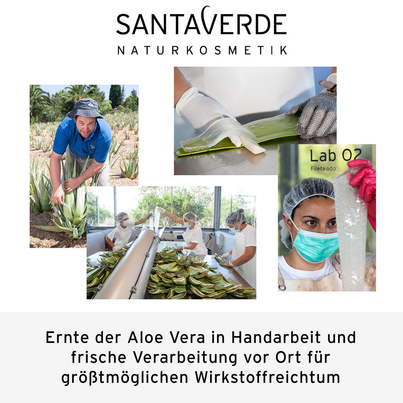 [Australia] - Santa Verde Aloe Vera creme medium (fragrance-free) 