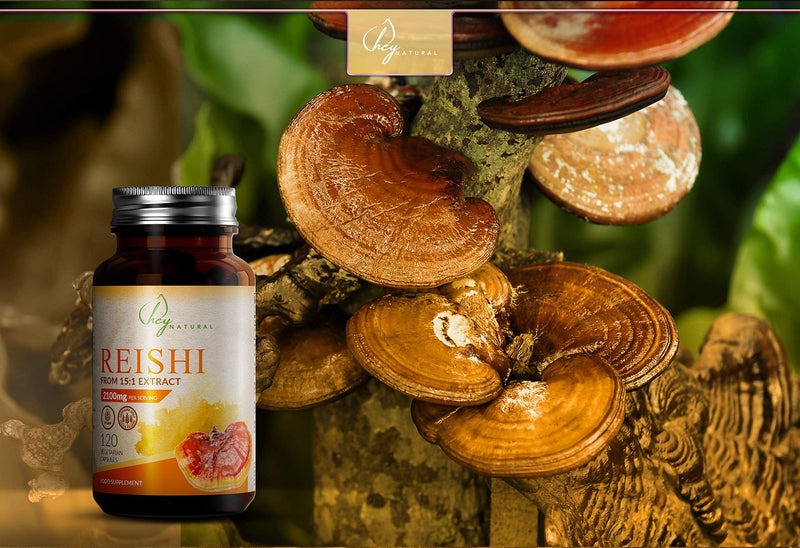 [Australia] - HN Reishi Mushroom Extract Capsules | High Dose 2100mg (15:1 Extract) Per Serving | 120 Adaptogen Mushroom Supplements | Clean Fillers | Non GMO, Gluten, Dairy & Allergen Free 