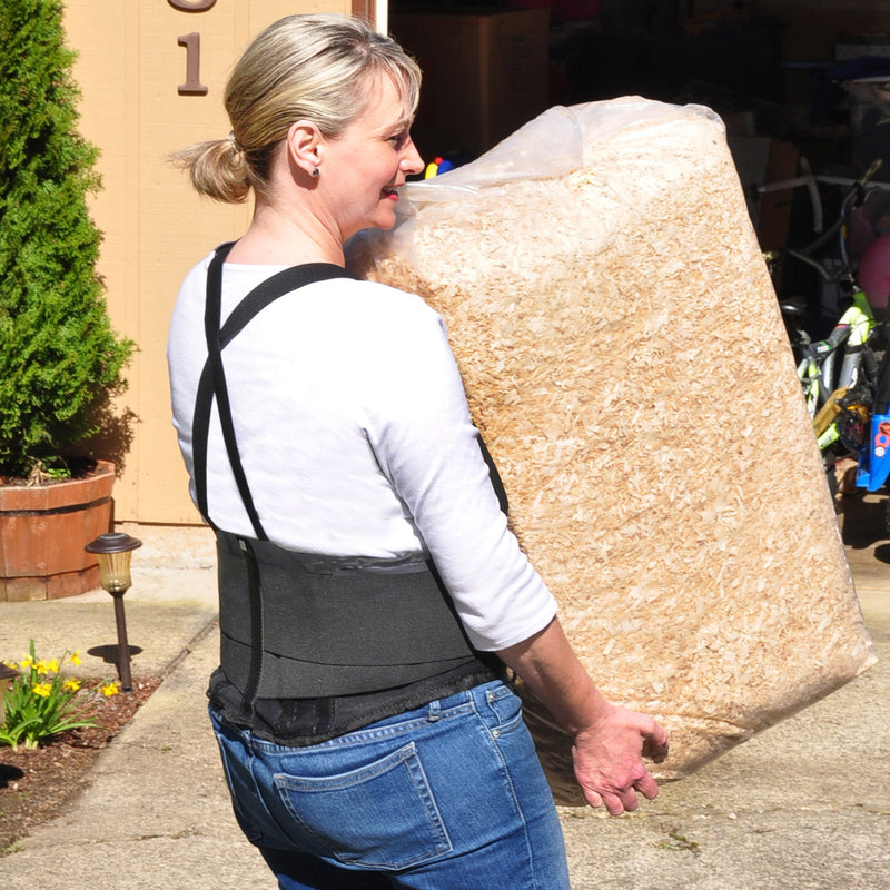[Australia] - Back Brace Lumbar Support with Adjustable Suspenders, Hook and Loop Fastener, Breathable Back Panel Made with Spandex Material, Removable Straps Large(Pack of 1) 
