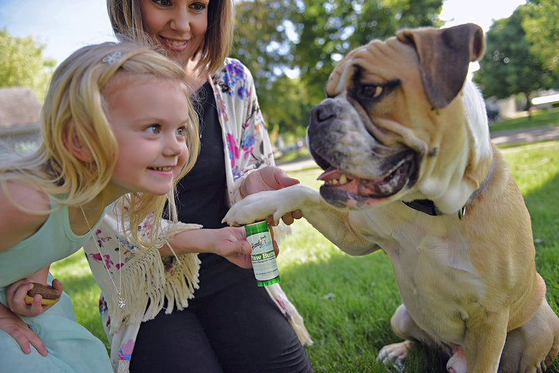 [Australia] - Handy Hound SnoutScreen | Nose Balm | Moisturizing All Natural Pet Balm and Sunscreen Heals Dry, Chapped, Cracked, and Crusty Dog Snout and Protects from Sun and Discourages Insects, 2 oz 