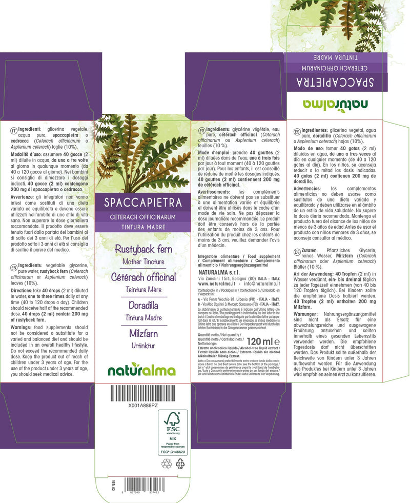 [Australia] - Rustyback Fern (Ceterach officinarum or Asplenium Ceterach) Leaves Alcohol-Free Mother Tincture Naturalma | Liquid Extract Drops 120 ml | Food Supplement | Vegan 120 ml (Pack of 1) 