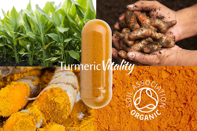 [Australia] - Organic Turmeric Curcumin Capsules 1420mg High Strength Serving with Black Pepper & Ginger for Maximum Absorption of Curcumin | 120 Veg Capsules - Certified Organic Supplement 