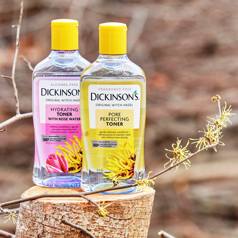 [Australia] - Dickinson's Original Witch Hazel Pore Perfecting Toner, 100% Natural, 16 Ounce Fragrance free Pore Perfecting (16 Fl Oz) 