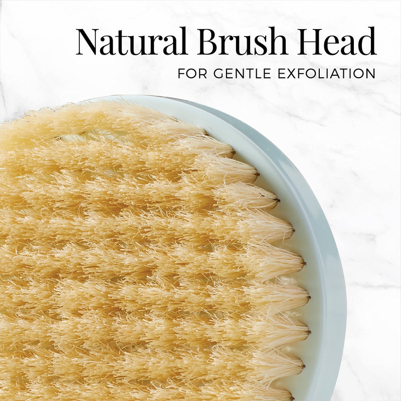 [Australia] - Remington Reveal Natural Brush Head 