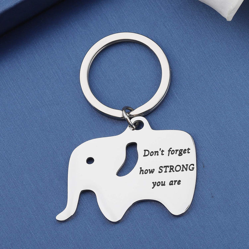 [Australia] - MYOSPARK Don't Forget How Strong You are Elephant Inspirational Keychain Gift for Elephant Lovers STRONG Elephant Keychain 