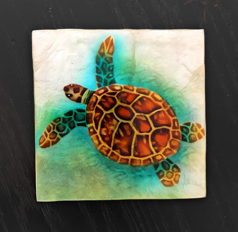 [Australia] - Kubla Craft Sea Turtle Capiz Shell Keepsake Box, 4 Inches Square 