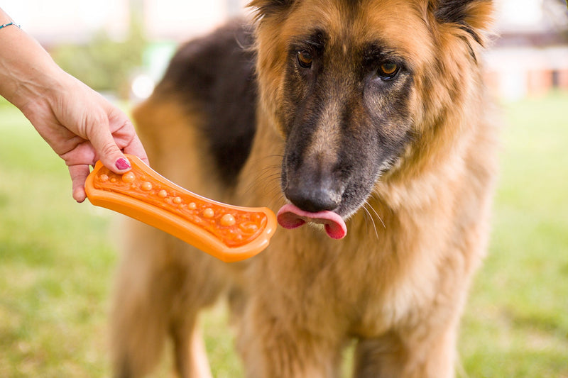 [Australia] - Hartz Chew ‘n Clean Dental Duo Dog Chew Toy, Dog Toy & Bacon Flavored Treat in One, Color & Toy Size Varies Large 1 Count 