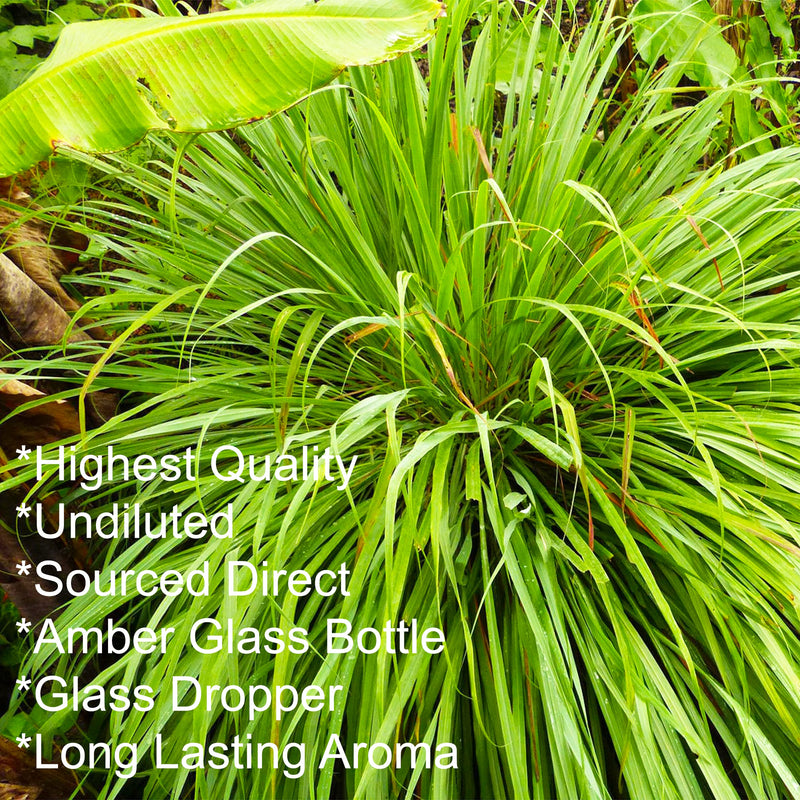 [Australia] - Feelia - Lemongrass Essential Oil - 100% Pure & Natural, Premium Grade, Steam Distilled & Undiluted, Great for Aromatherapy & Relaxation 