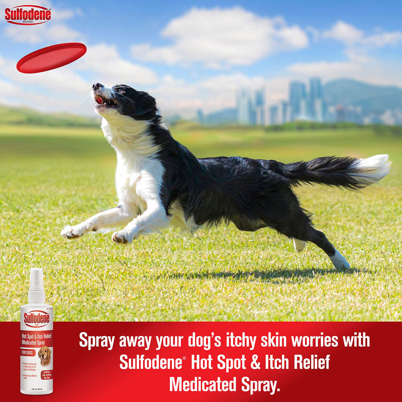 [Australia] - Sulfodene Hot Spot & Itch Relief Dog Spray 8 oz 