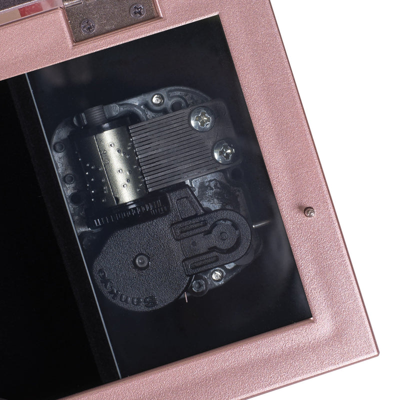 [Australia] - La Quinceanera Champagne Pink Petite Music Box/Jewelry Box Plays You Light Up My Life 