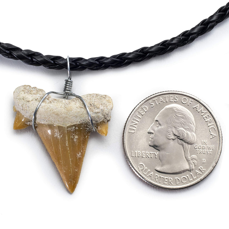 [Australia] - KALIFANO Fossilized Shark Tooth Necklace - Authentic Prehistoric Megaladon Teeth Fossil Pendant on 20" Inch Braided Leather Cord - Great Gift for Men and Boys (Information Card Included) 