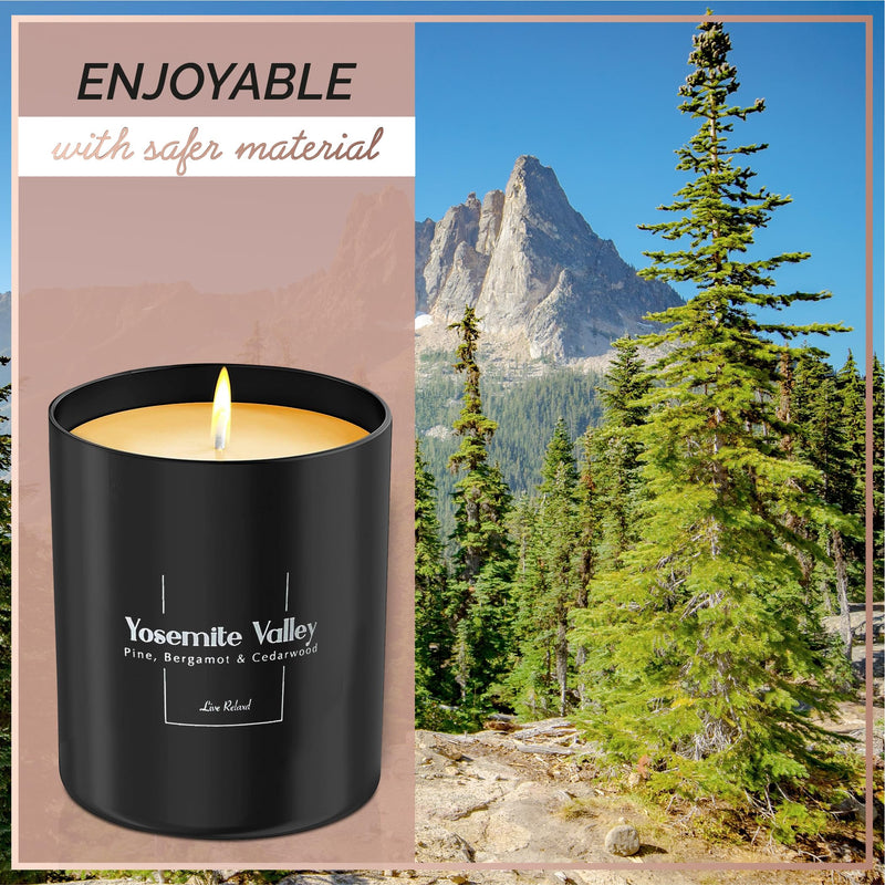 [Australia] - Relaxd Premium Pine, Bergamot & Cedarwood Scented Natural Soy Wax Candle (Yosemite Valley), Large, Long Lasting Aromatherapy Candles 